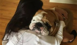 女人与狗性交视频